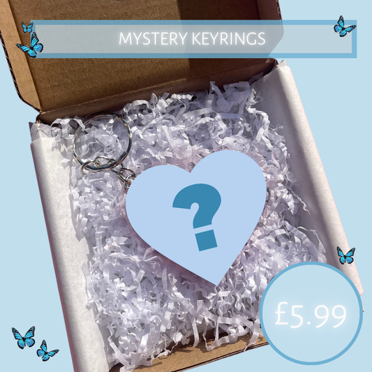 Mystery Keyrings or Magnets